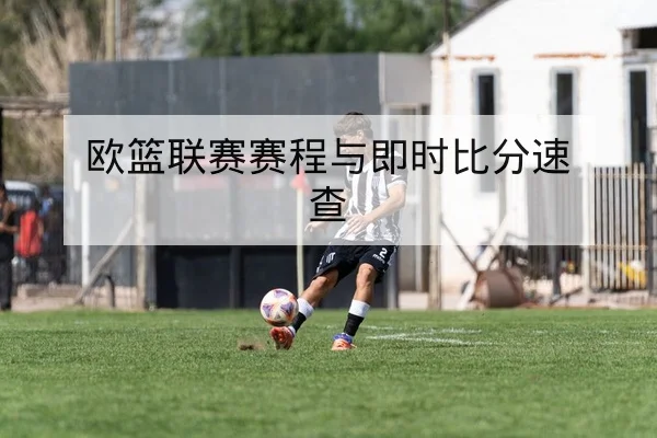中超赛季积分榜实时更新与降级形势速查